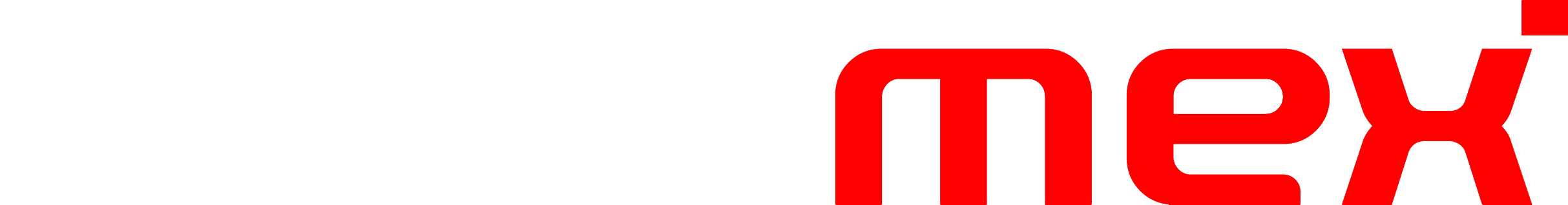 Visiomex Logo